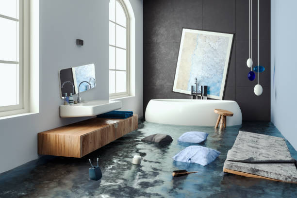 Best Water damage contractors near me  in Seymour, WI