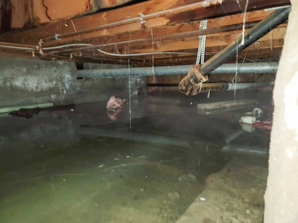 Best 24/7 water damage repair  in Seymour, WI