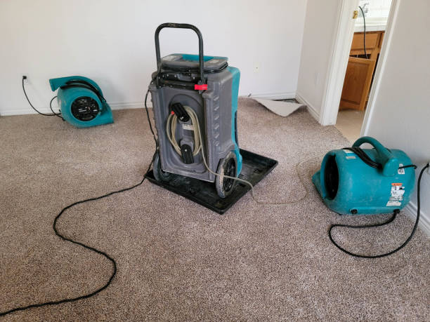 Best Professional water damage repair  in Seymour, WI