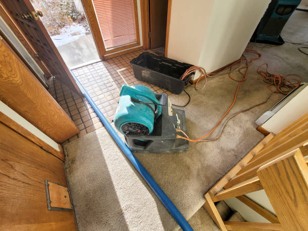 Best Water damage restoration insurance claims  in Seymour, WI