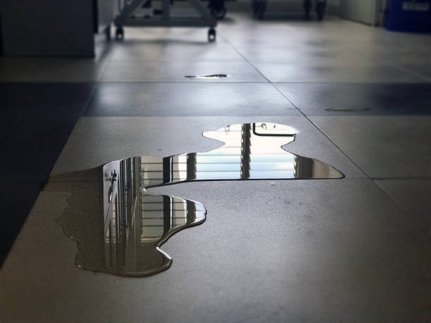Best Water damage cleanup near me  in Seymour, WI