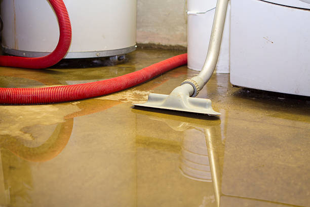 Best 24-hour water damage restoration  in Seymour, WI