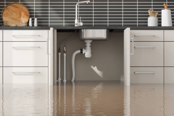 Best Local water damage restoration  in Seymour, WI