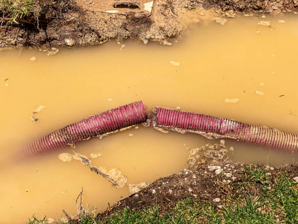 Best Flood damage cleanup  in Seymour, WI