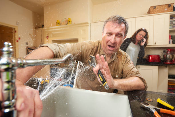Best Carpet water damage restoration  in Seymour, WI